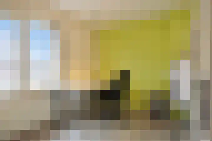 Levylaan 30 Eindhoven thumbnail 18