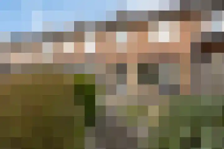 Levylaan 30 Eindhoven thumbnail 28
