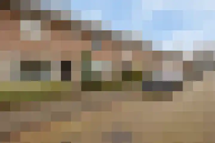 Levylaan 30 Eindhoven thumbnail 31