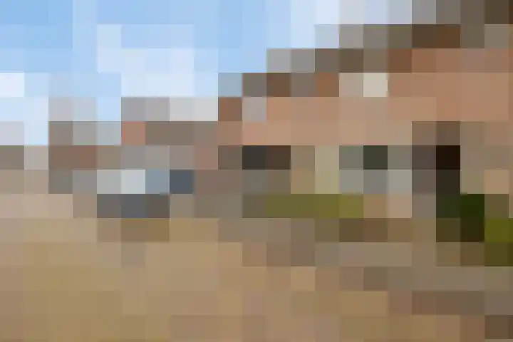 Levylaan 30 Eindhoven thumbnail 32