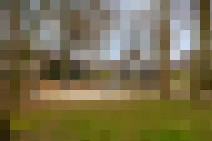 Levylaan 30 Eindhoven thumbnail 35