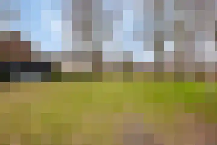 Levylaan 30 Eindhoven thumbnail 36