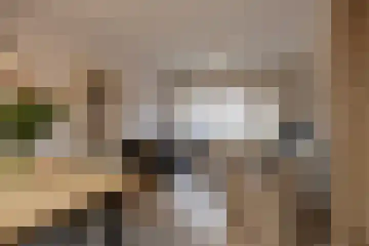 Levylaan 30 Eindhoven thumbnail 7