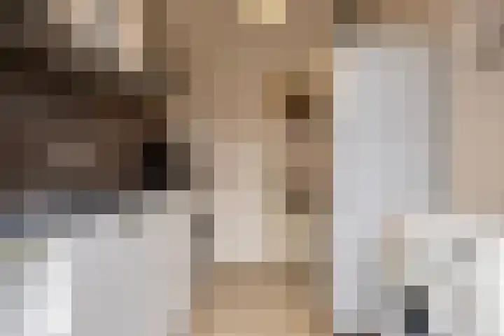 Levylaan 30 Eindhoven thumbnail 9