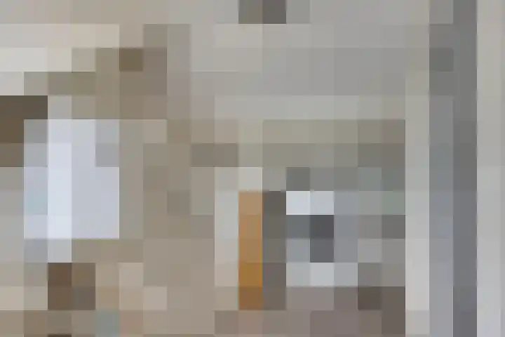Levylaan 4 Eindhoven thumbnail 20