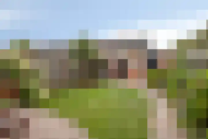 Levylaan 4 Eindhoven thumbnail 23