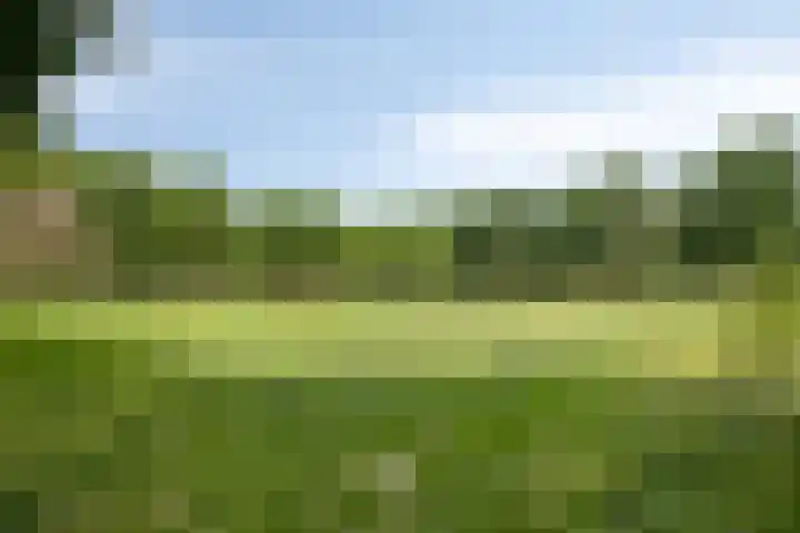 Levylaan 4 Eindhoven thumbnail 28