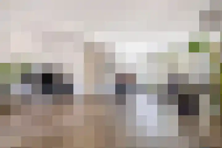 Levylaan 8 Eindhoven thumbnail 13