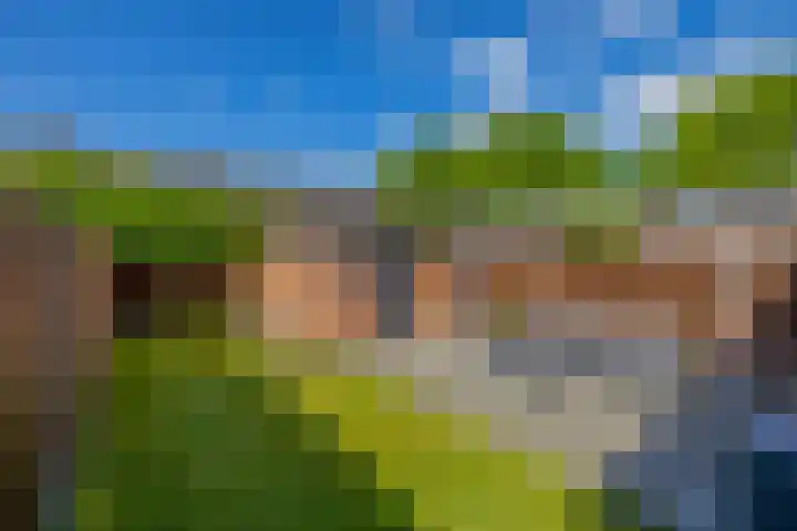 Levylaan 8 Eindhoven thumbnail 31