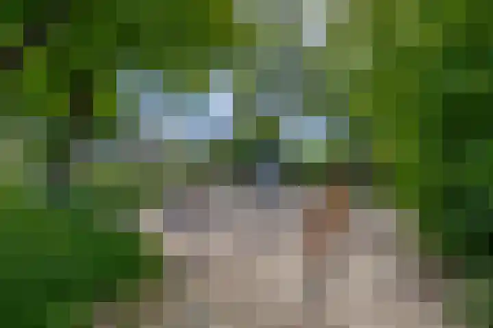 Levylaan 8 Eindhoven thumbnail 37