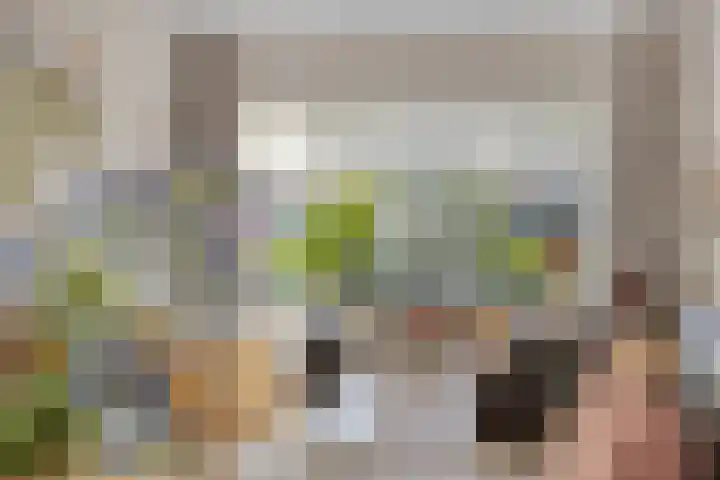Levylaan 9 Eindhoven thumbnail 10