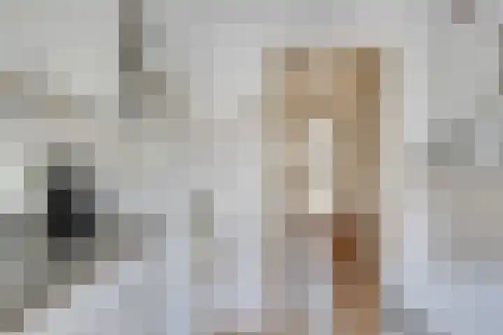 Levylaan 9 Eindhoven thumbnail 11
