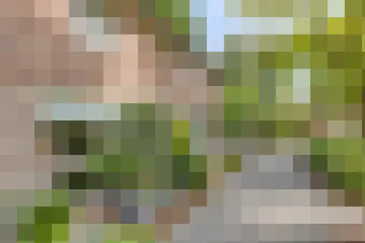Levylaan 9 Eindhoven thumbnail 28