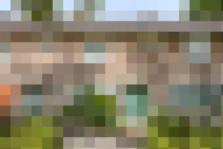 Levylaan 9 Eindhoven thumbnail 34