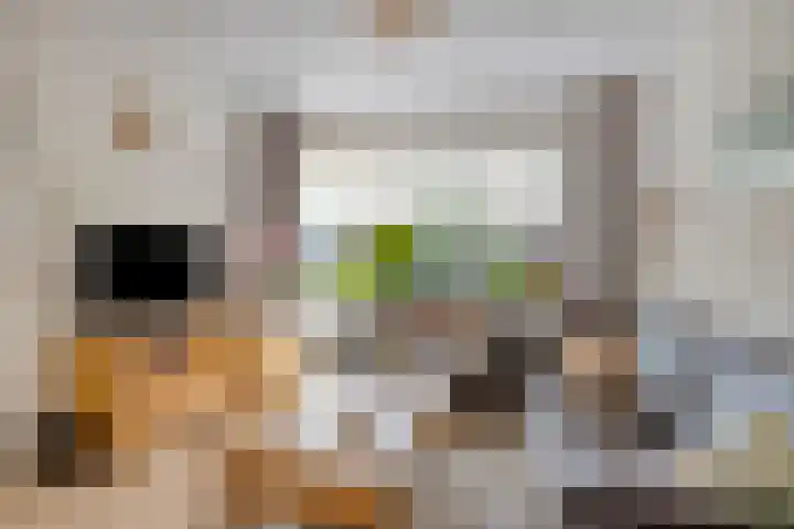 Levylaan 9 Eindhoven thumbnail 7