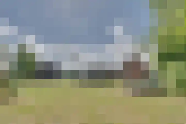 Lewedijk 43 Lewedorp thumbnail 31