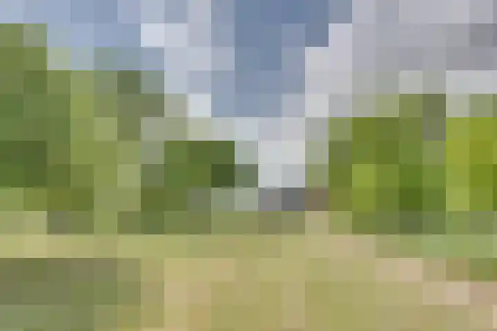 Lewedijk 43 Lewedorp thumbnail 34
