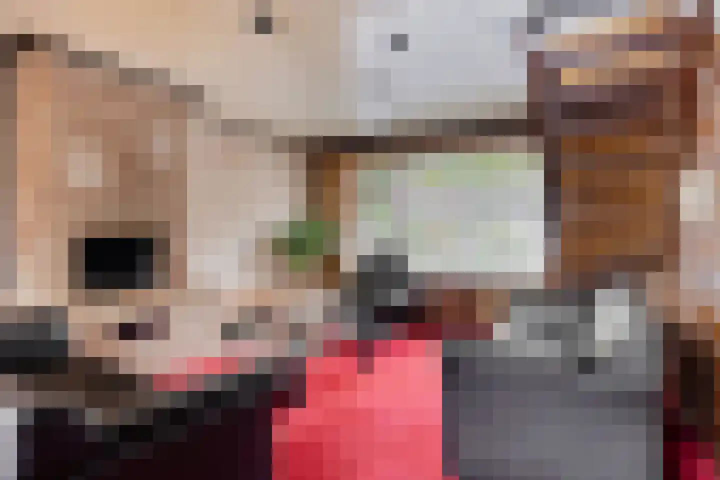 Lewestraat 3 Kloetinge thumbnail 11