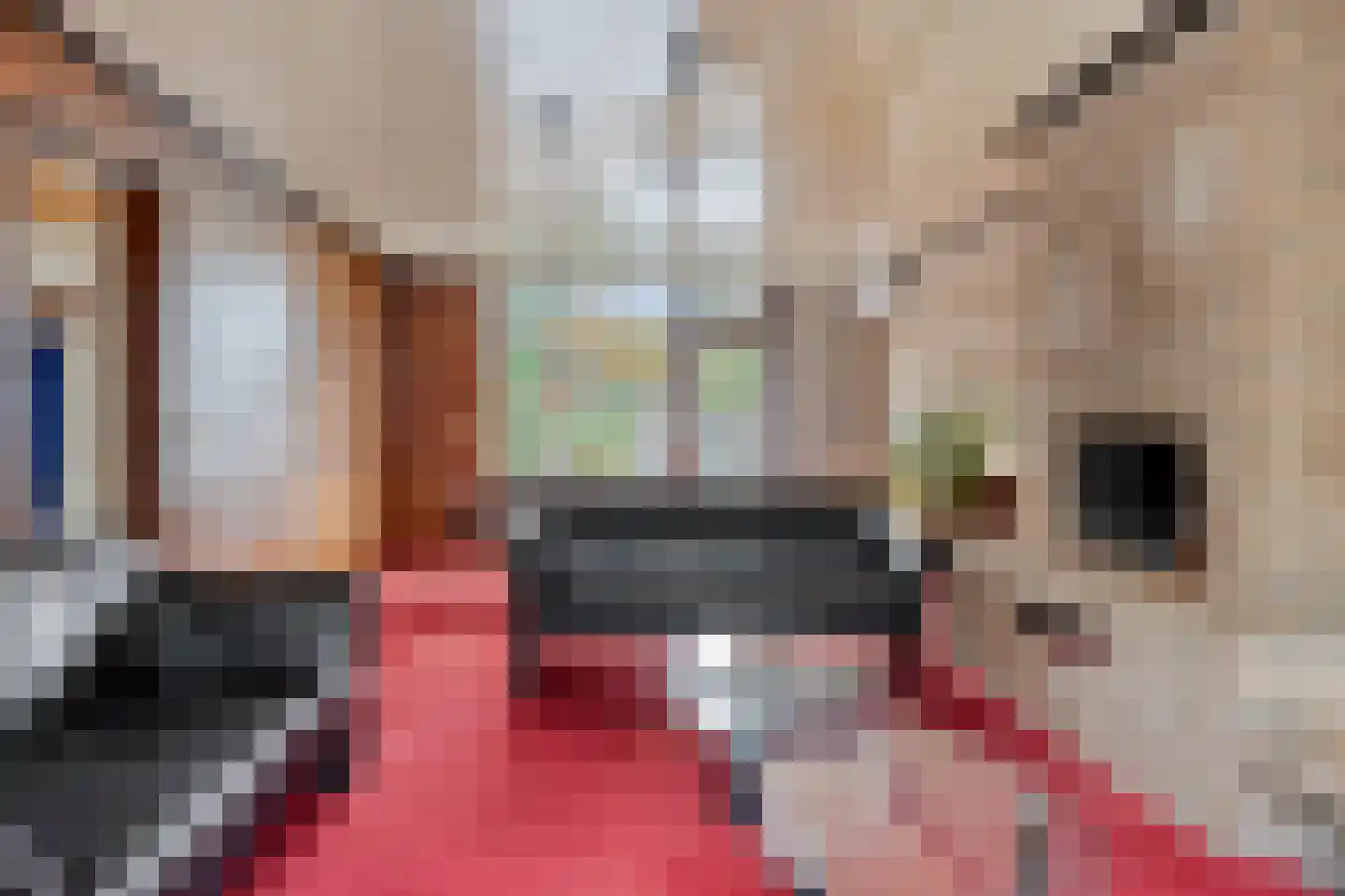 Lewestraat 3 Kloetinge thumbnail 12