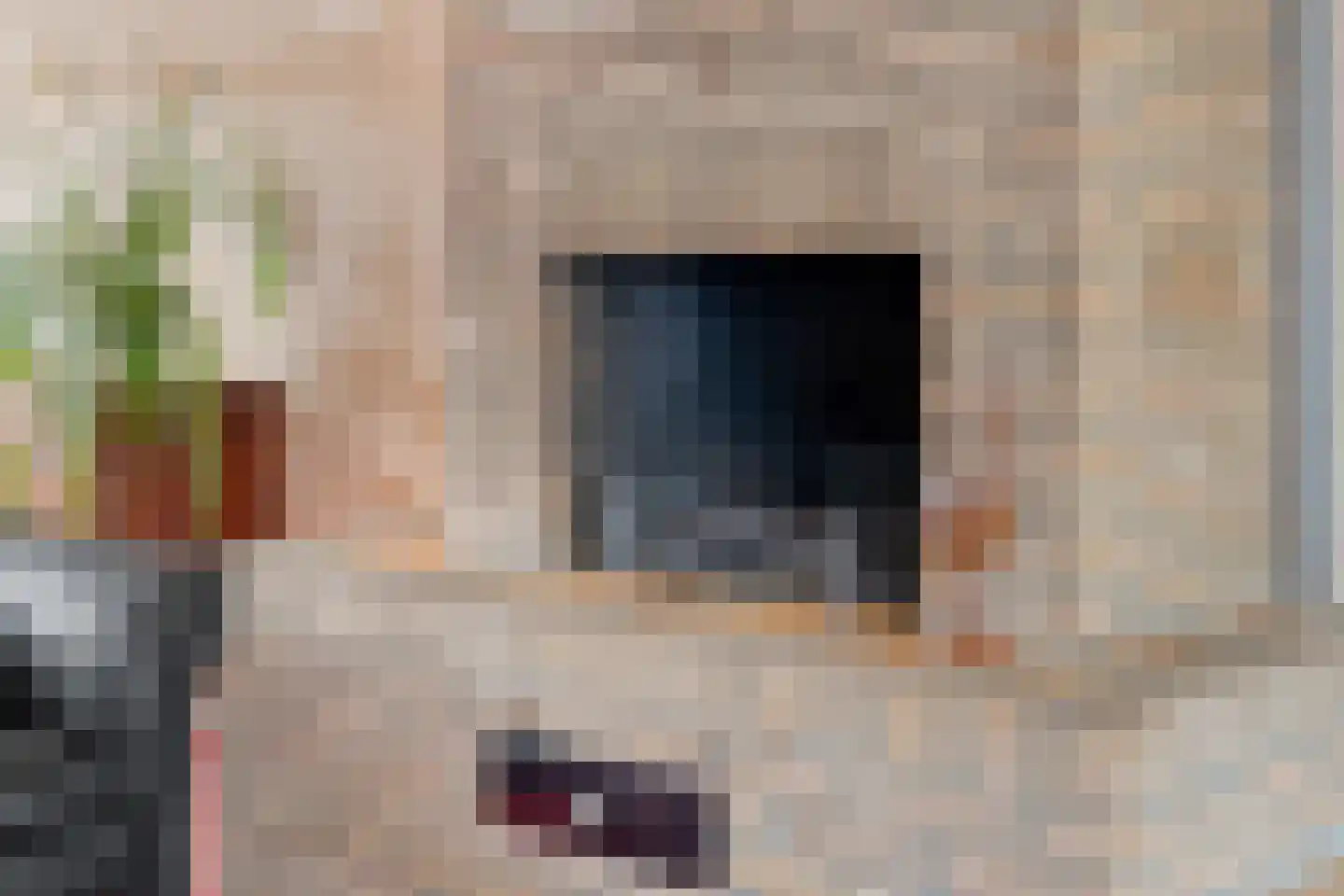 Lewestraat 3 Kloetinge thumbnail 13