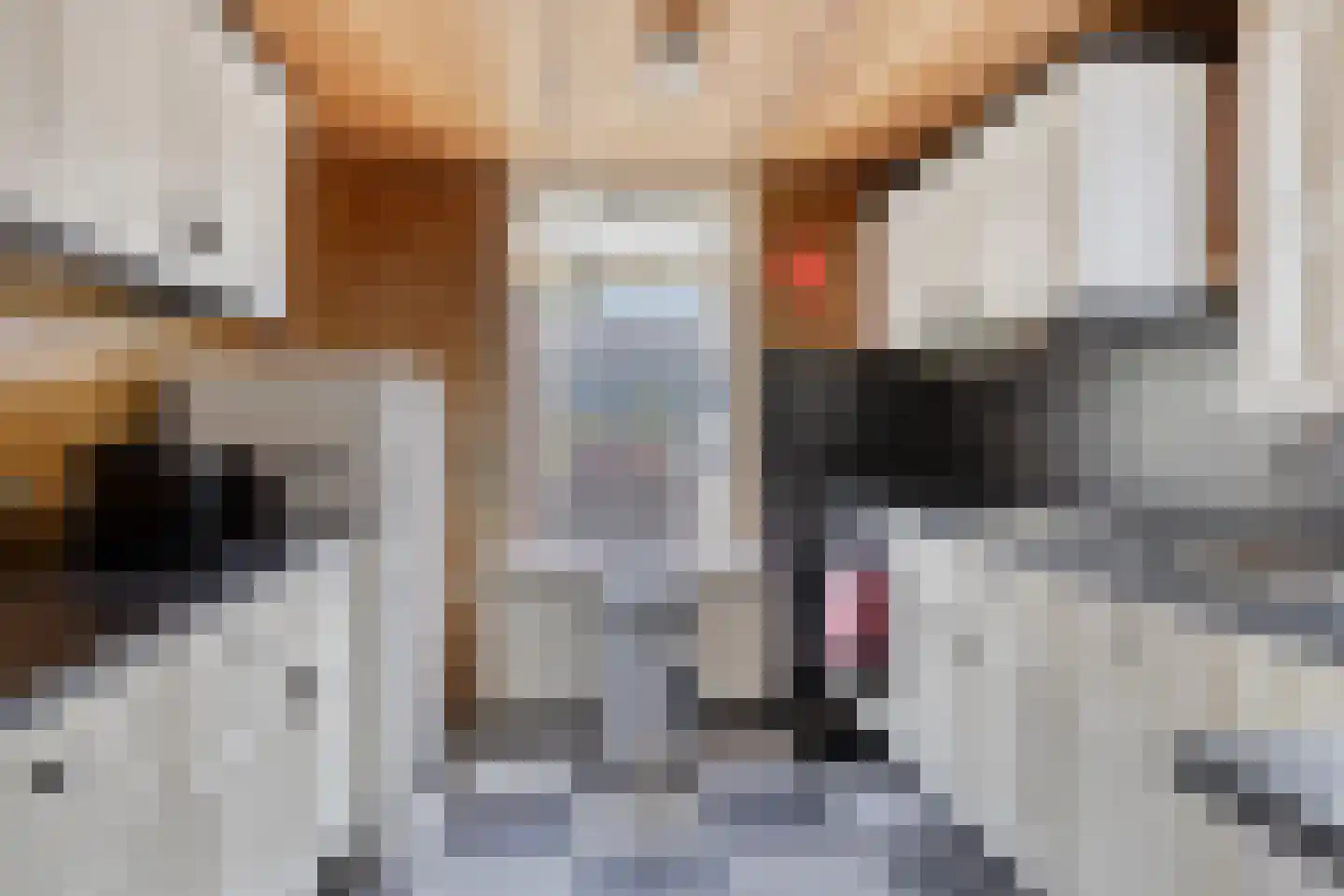 Lewestraat 3 Kloetinge thumbnail 19