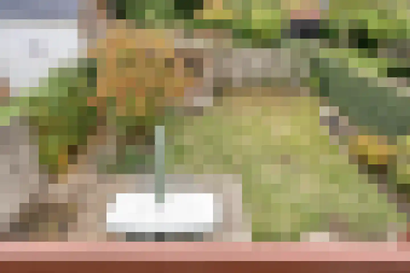 Lewestraat 3 Kloetinge thumbnail 34