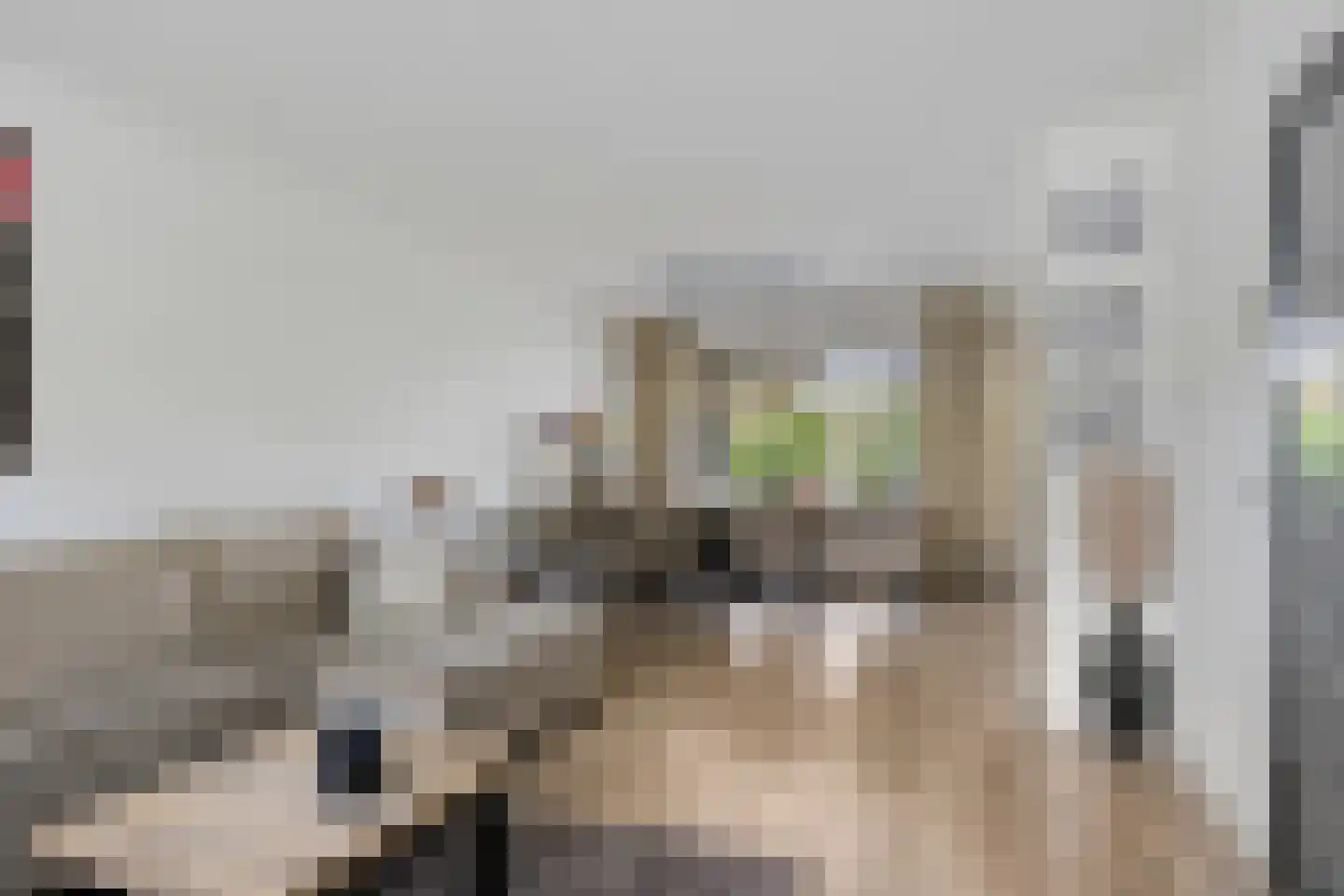 Lewestraat 7 Kloetinge thumbnail 10