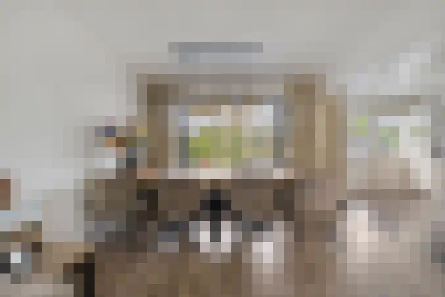 Lewestraat 7 Kloetinge thumbnail 15
