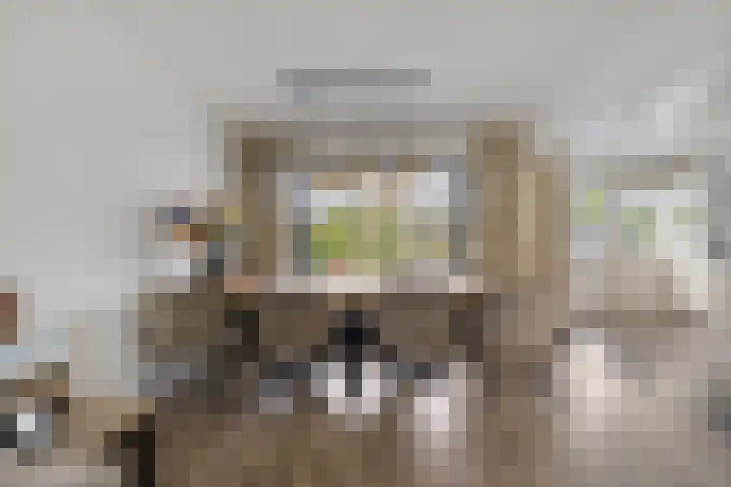 Lewestraat 7 Kloetinge thumbnail 15