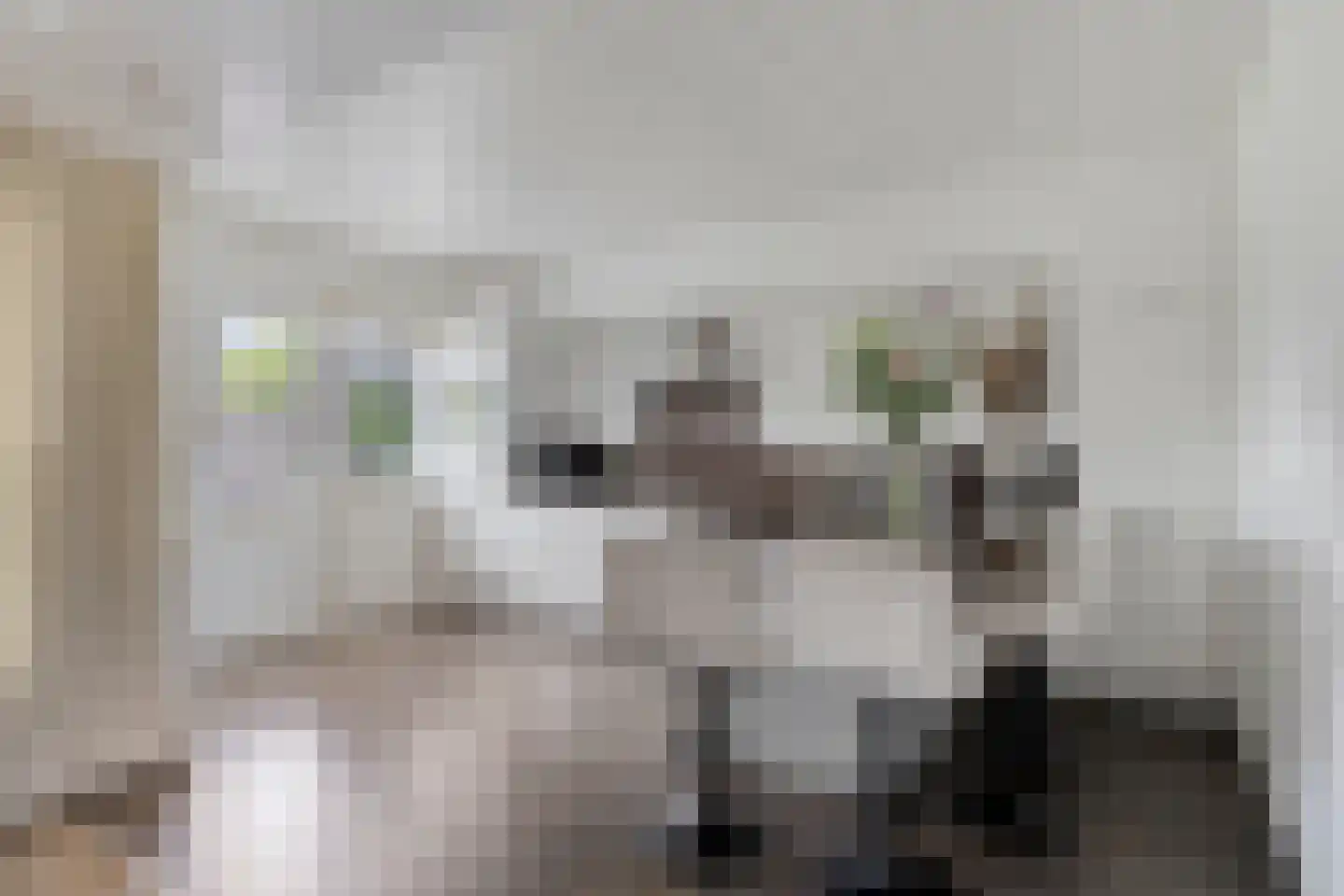 Lewestraat 7 Kloetinge thumbnail 17