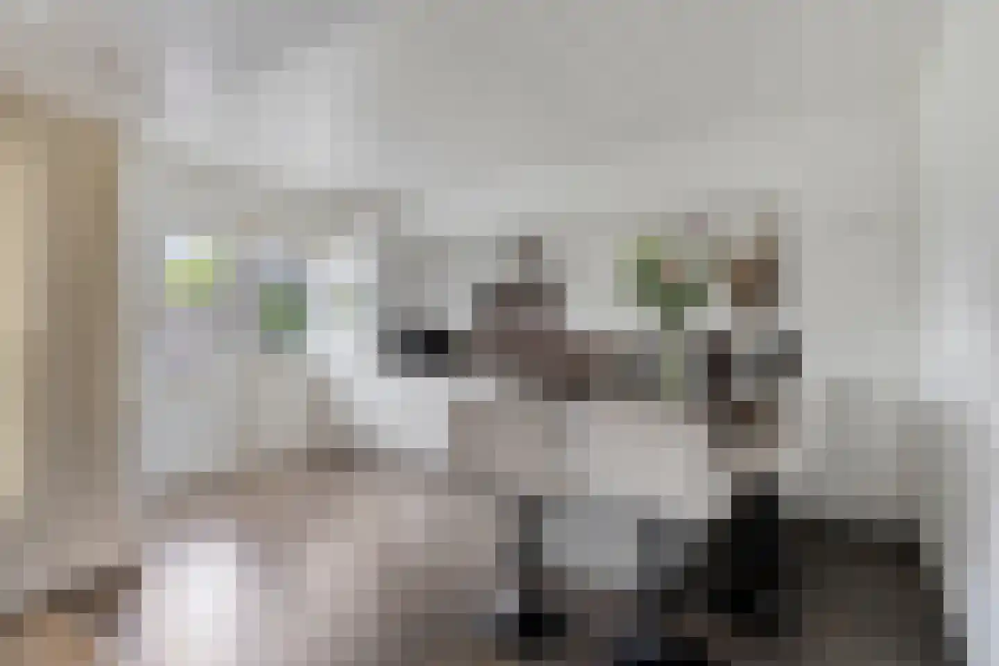 Lewestraat 7 Kloetinge thumbnail 17