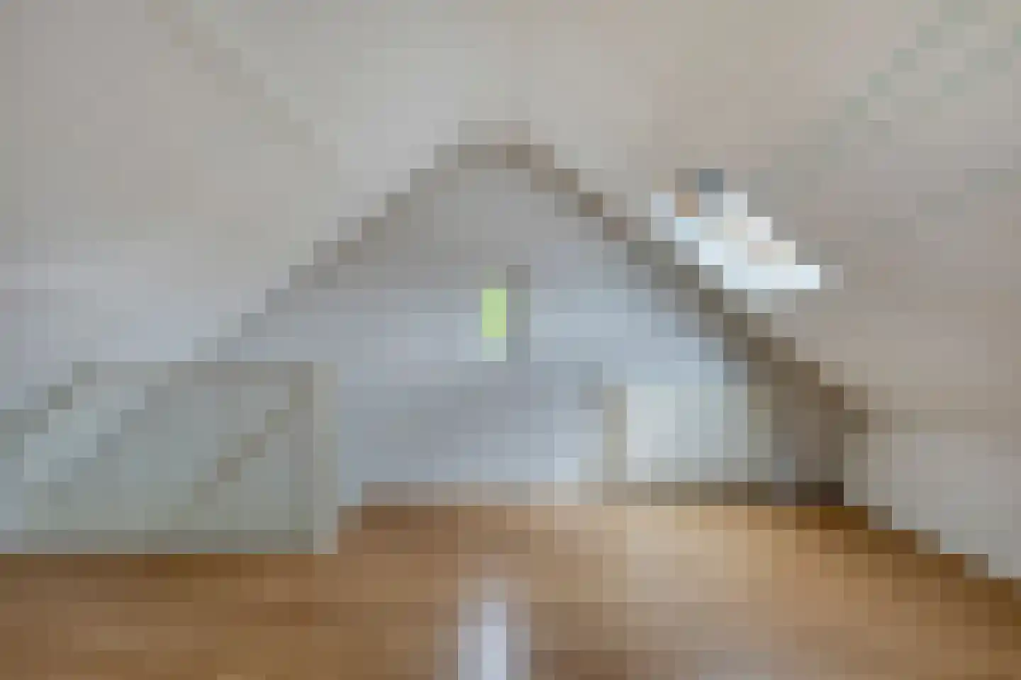 Lewestraat 7 Kloetinge thumbnail 32