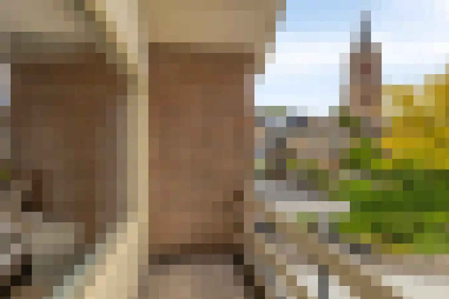Lewestraat 7 Kloetinge thumbnail 38