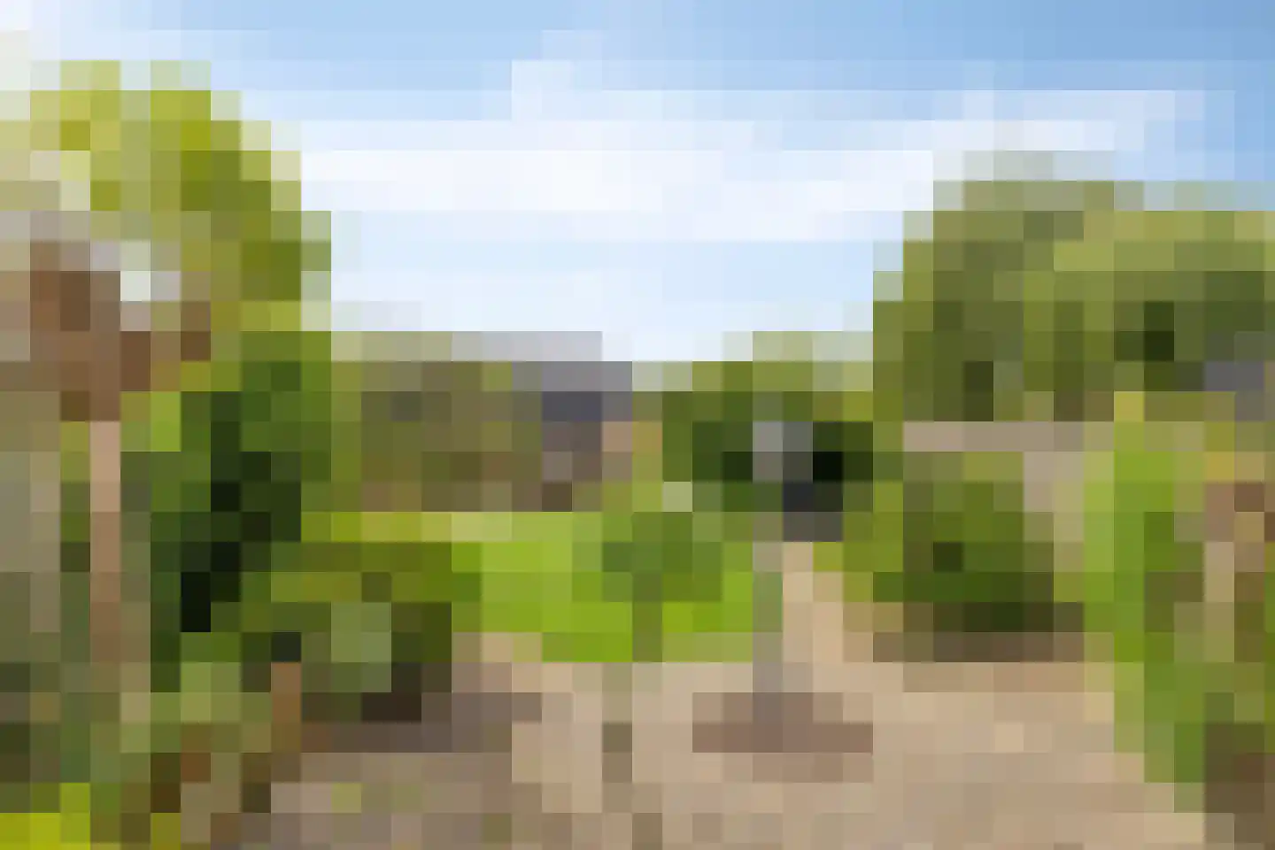 Lewestraat 7 Kloetinge thumbnail 42
