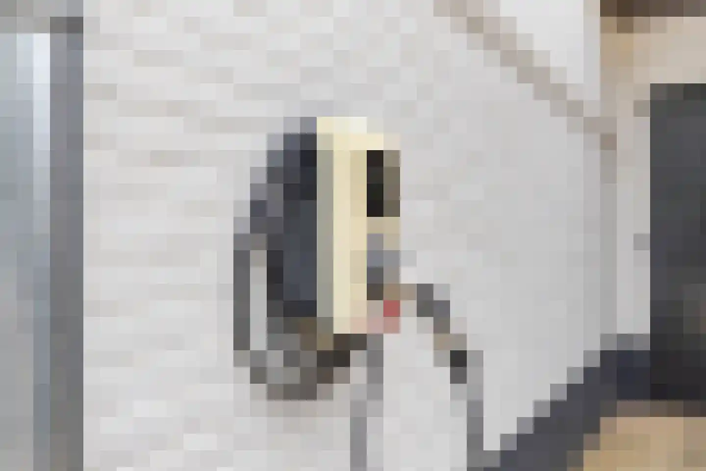 Lewestraat 7 Kloetinge thumbnail 49