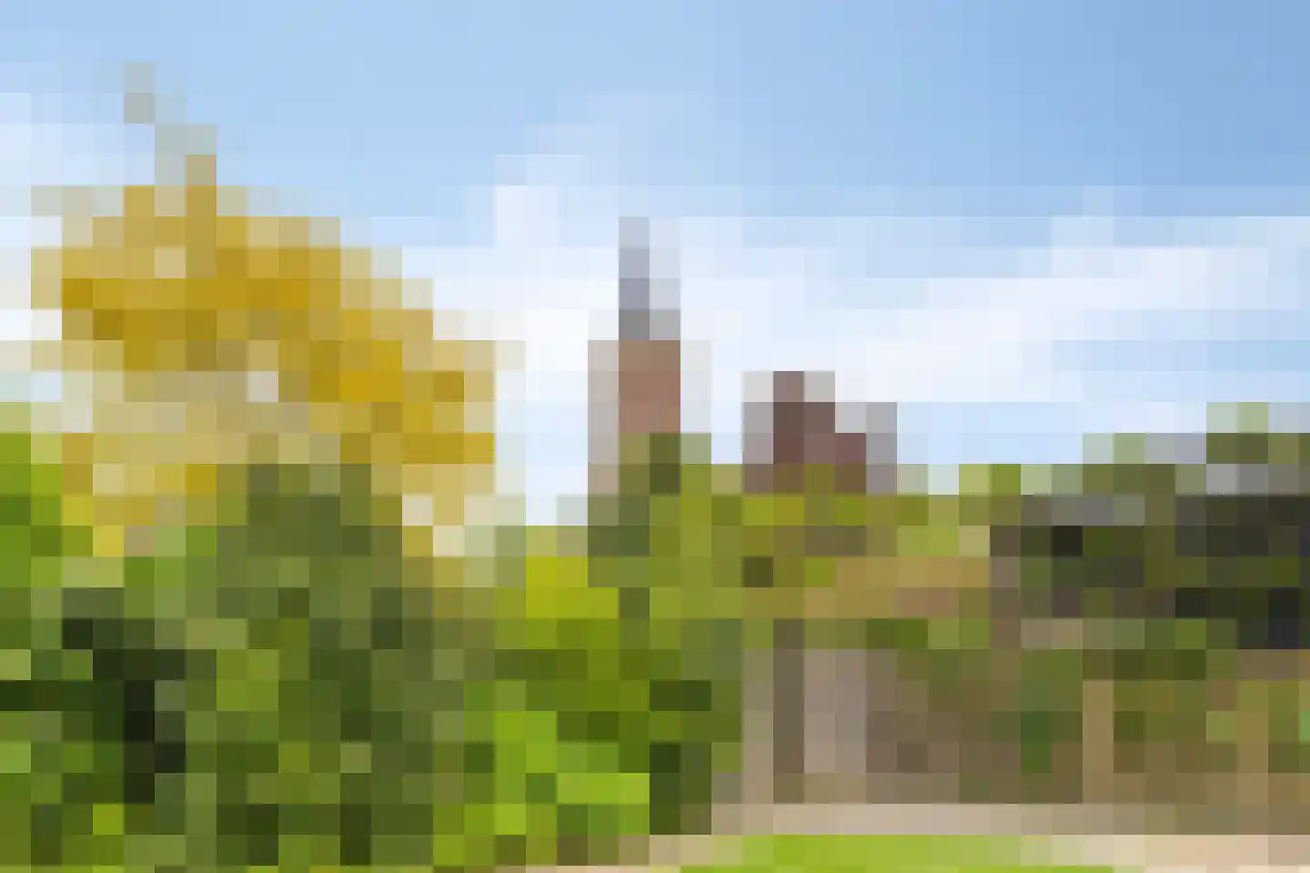 Lewestraat 7 Kloetinge thumbnail 50