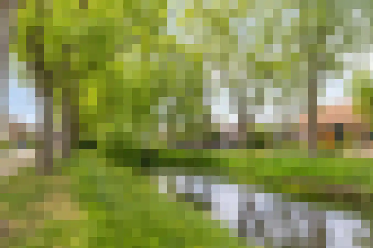 Lewestraat 7 Kloetinge thumbnail 51
