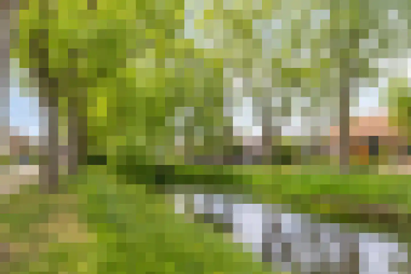 Lewestraat 7 Kloetinge thumbnail 51