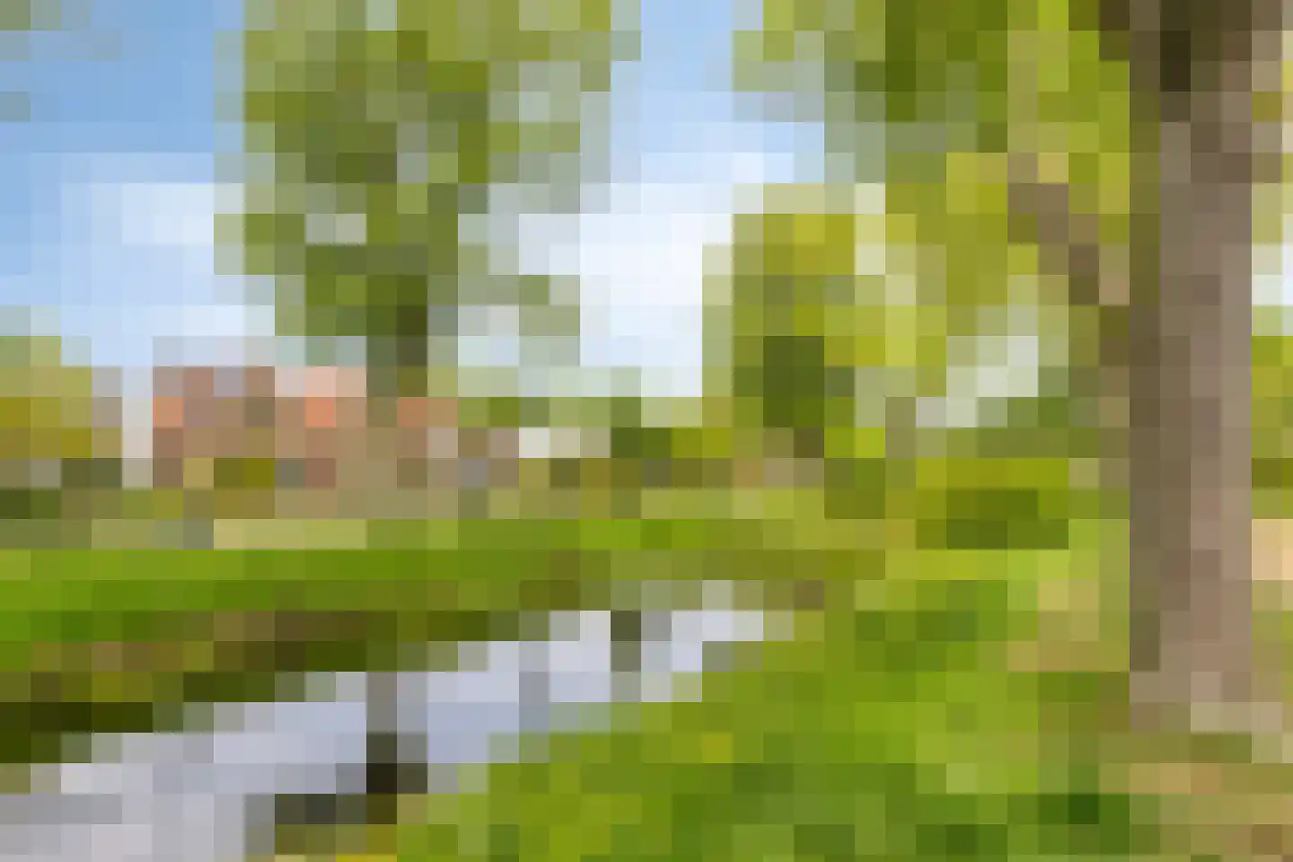 Lewestraat 7 Kloetinge thumbnail 52