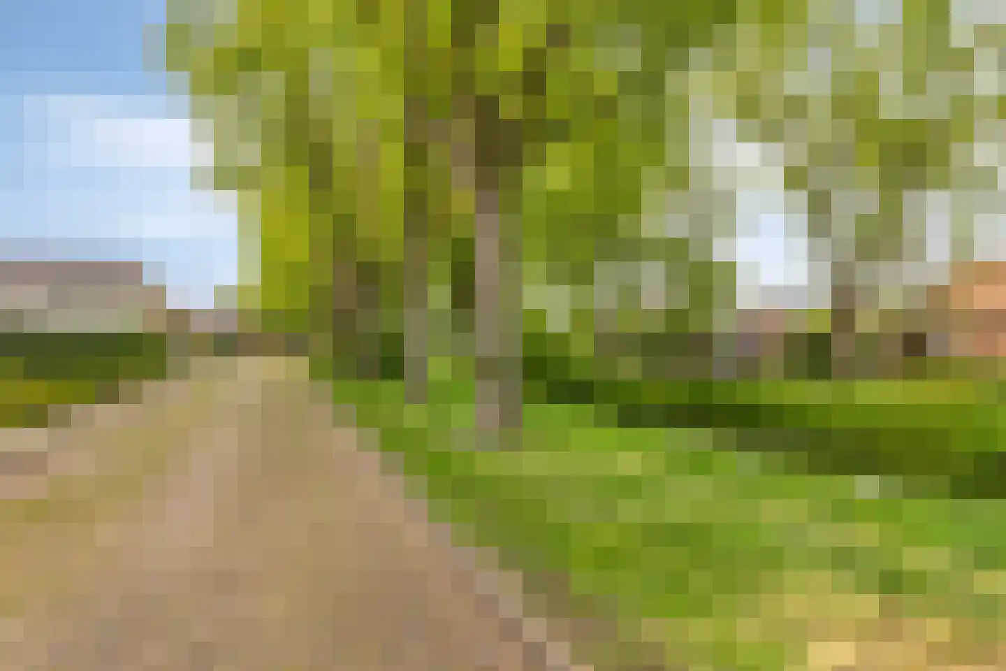 Lewestraat 7 Kloetinge thumbnail 53