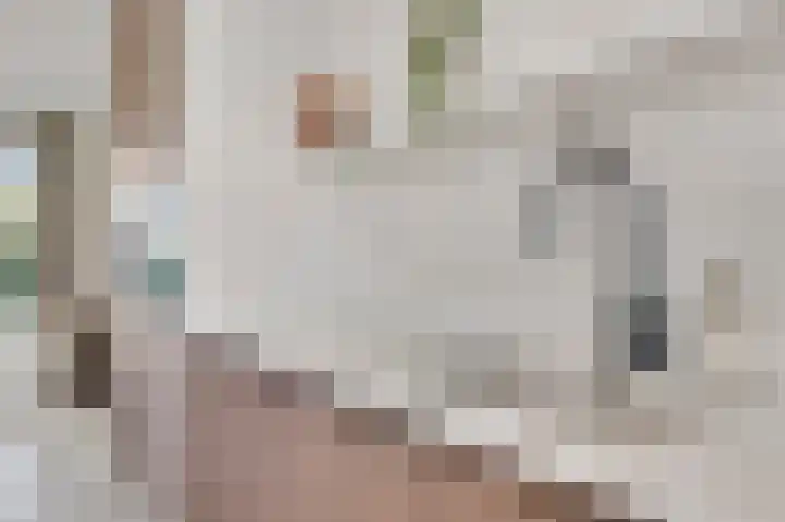 Lewieze 30 Stramproy thumbnail 13