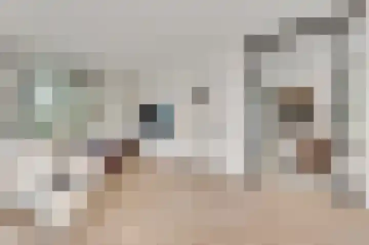 Lewieze 30 Stramproy thumbnail 20
