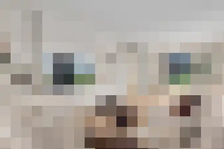 Lewieze 30 Stramproy thumbnail 22