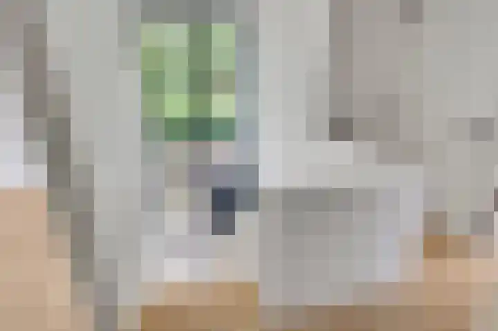 Lewieze 30 Stramproy thumbnail 28