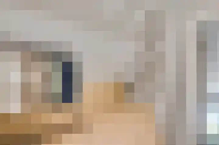 Lewieze 30 Stramproy thumbnail 31