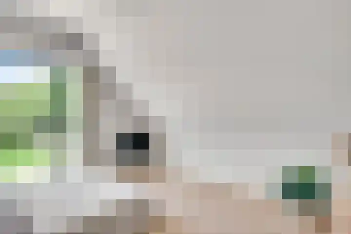 Lewieze 30 Stramproy thumbnail 34