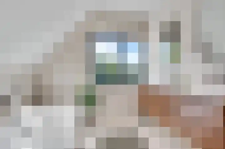 Lewieze 30 Stramproy thumbnail 38