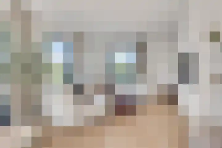 Lewieze 30 Stramproy thumbnail 4