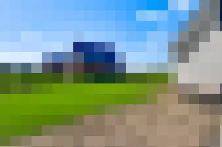 Lewieze 30 Stramproy thumbnail 46
