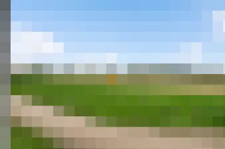 Lewieze 30 Stramproy thumbnail 47